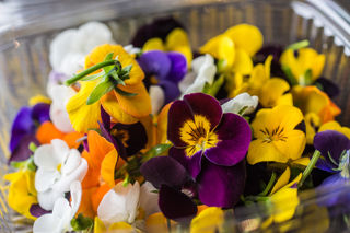 Cooking with flowers