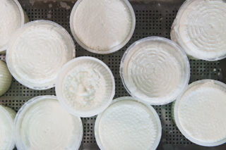 Five amazing, versatile ricotta recipes