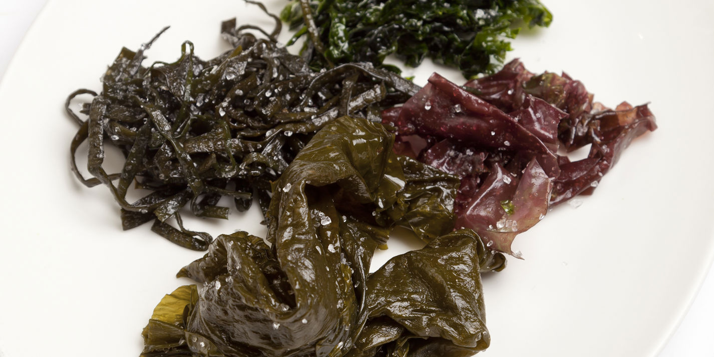 Learn the Basics of Cooking with Kombu Kelp