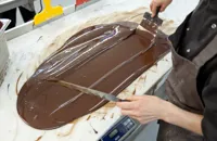 Chocolate: Beans, bars and baking