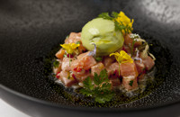 Trout ceviche with avocado sorbet