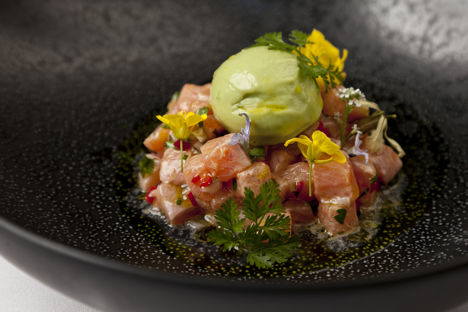 Trout ceviche with avocado sorbet