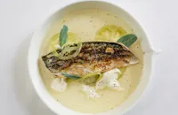 Mackerel with cinnamon spiced tomato water, burrata and pickled green tomatoes