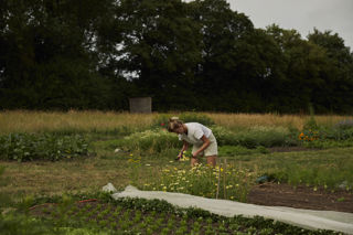 'We’ve created our own little ecosystem' – Mary Wilson on what it takes to own a farm-to-table restaurant