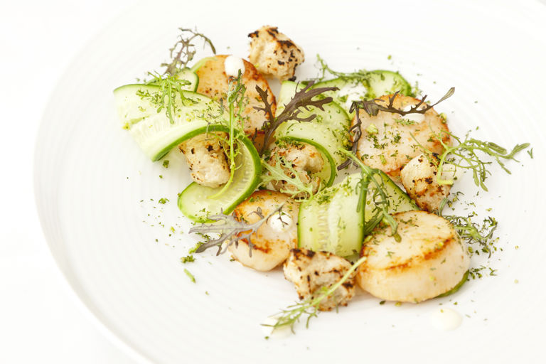 Scallops with cucumber, lime and baby leaf