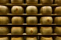 Grana Padano: Italy’s big cheese
