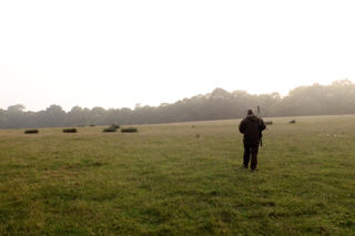 On the Hunt for Britain's Best Venison