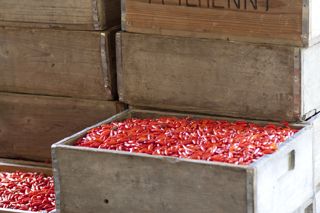 Hot stuff: talking Tabasco with Took Osborn
