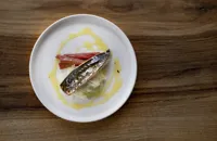 Torched mackerel with rhubarb and fennel