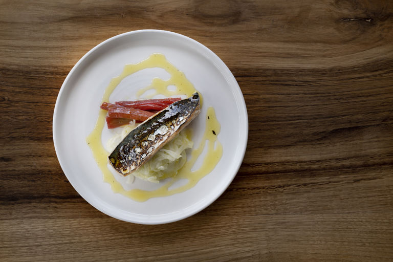 Torched mackerel with rhubarb and fennel