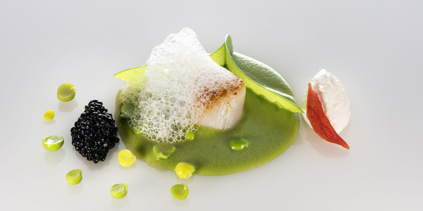 Scallops Recipe with Peas, Burrata and Tomato - Great Italian Chefs