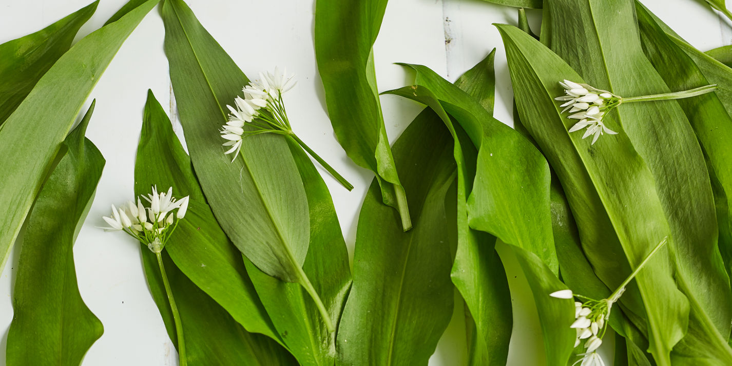 How To Cook Wild Garlic - Great British Chefs