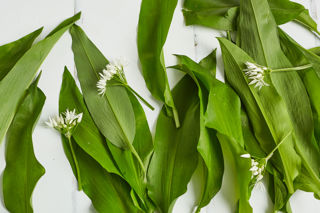 How to cook wild garlic
