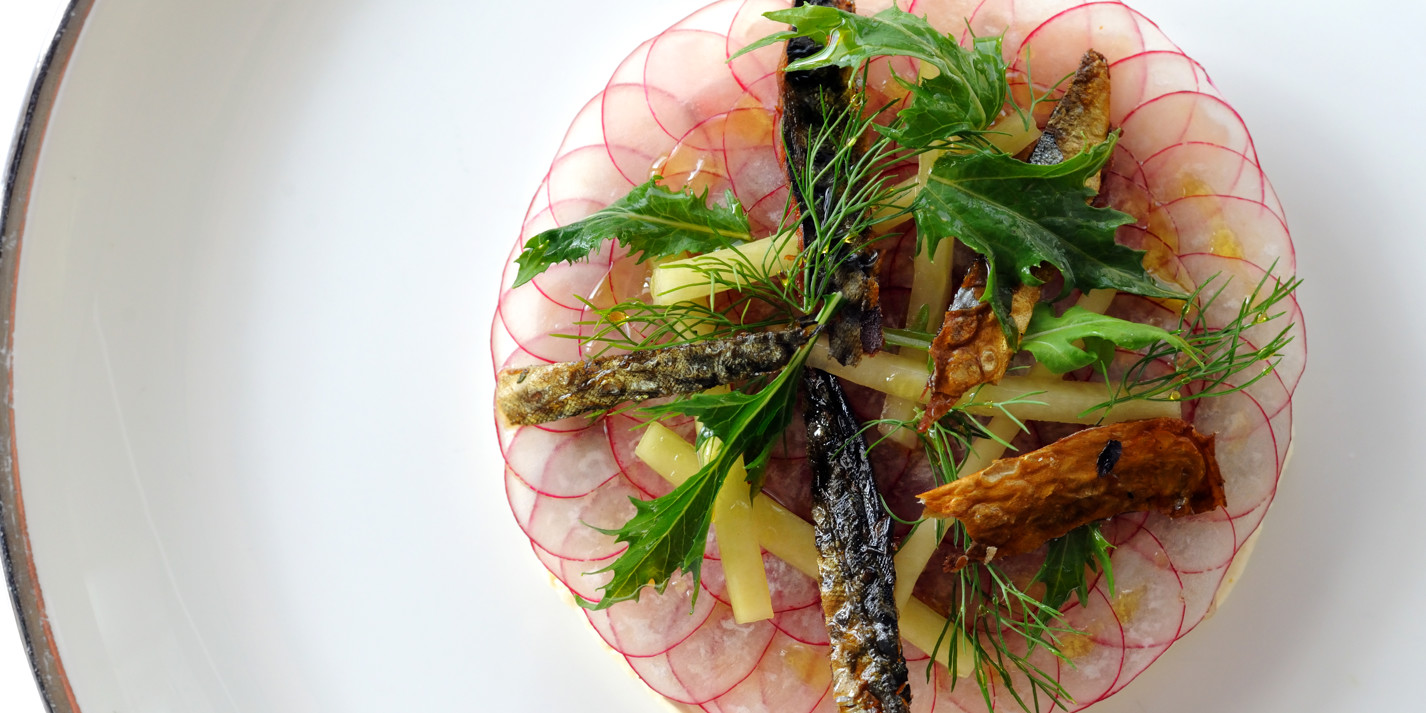 Mackerel Ceviche Recipe With Pickled Cucumber Great British Chefs