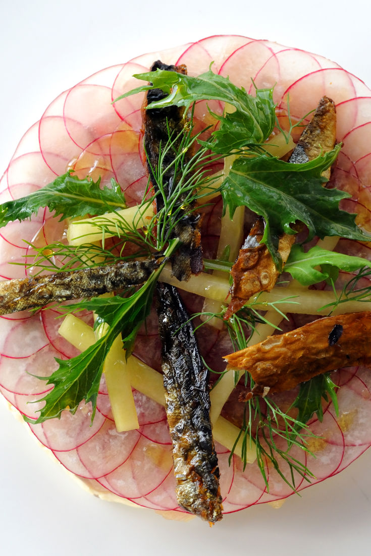 Mackerel Ceviche Recipe With Pickled Cucumber Great British Chefs