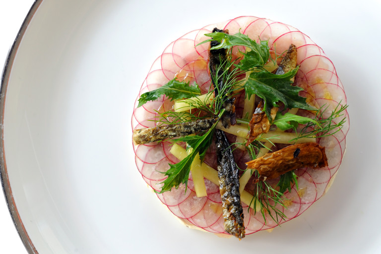 Ceviche of Cornish mackerel with a light horseradish cream, pickled cucumber and white radish