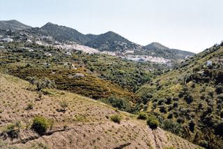 The wine regions of Spain: Málaga