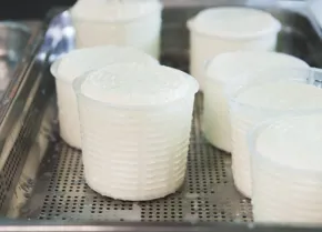 Store your homemade ricotta in your chosen container