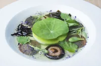 Seascape with doubloons of buckwheat, pea cream, yuzu and lemongrass broth