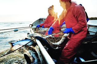 A prize catch: what makes Alaskan seafood great
