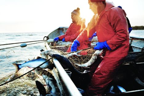 A prize catch: what makes Alaskan seafood great