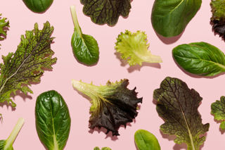 Looking up: why the farms of the future are vertical