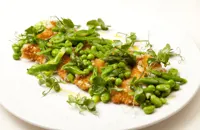 Panko-crumbed turkey salad of spring greens, honey and lavender dressing