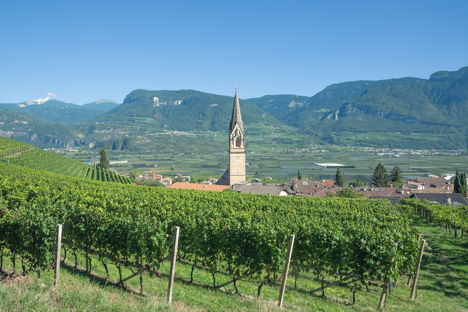 The wines of South Tyrol