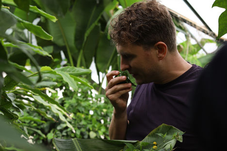 Luke Farrell talks Southeast Asian herbs