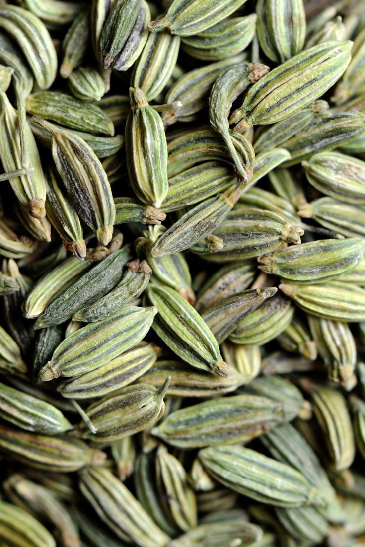 Fennel Seed Recipes Fennel Lollies, Croquette Great British Chefs