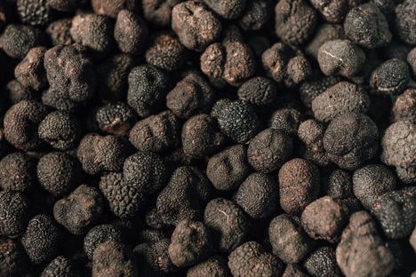 Ingredient Focus: Spanish black truffle