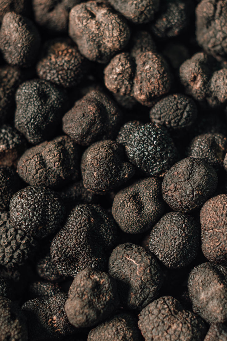 Ingredient Focus Spanish Black Truffle Great British Chefs