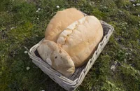 Pane Sciocco: Tuscany's favourite bread