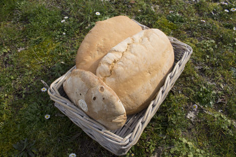 Pane Sciocco: Tuscany's favourite bread