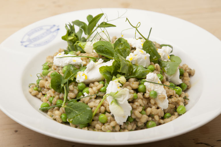 Barley, pea and mint salad with fresh organic goat's cheese