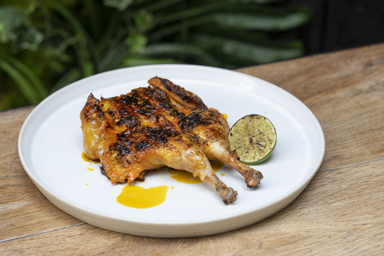 Poussin inasal