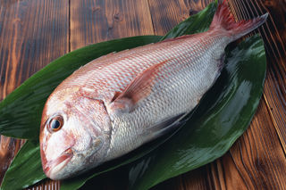 Seafood of Japan: tai (sea bream)
