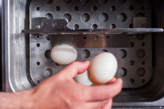 Sous vide reference sheet for home cooks