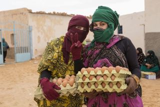 Pink Lady Food Photographer of the Year 2017: the winners