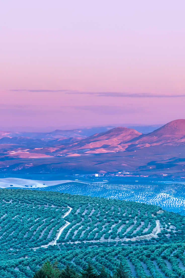 everything-you-need-to-know-about-the-food-of-andalusia-great-british