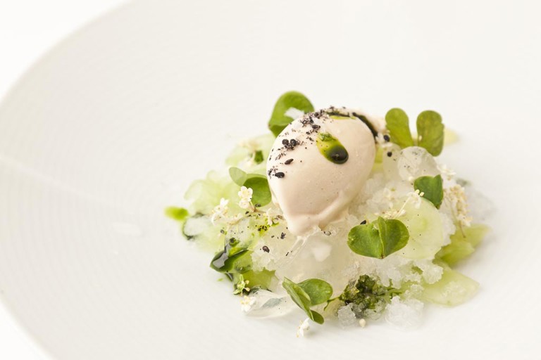 Cucumber, reduced milk and sorrel