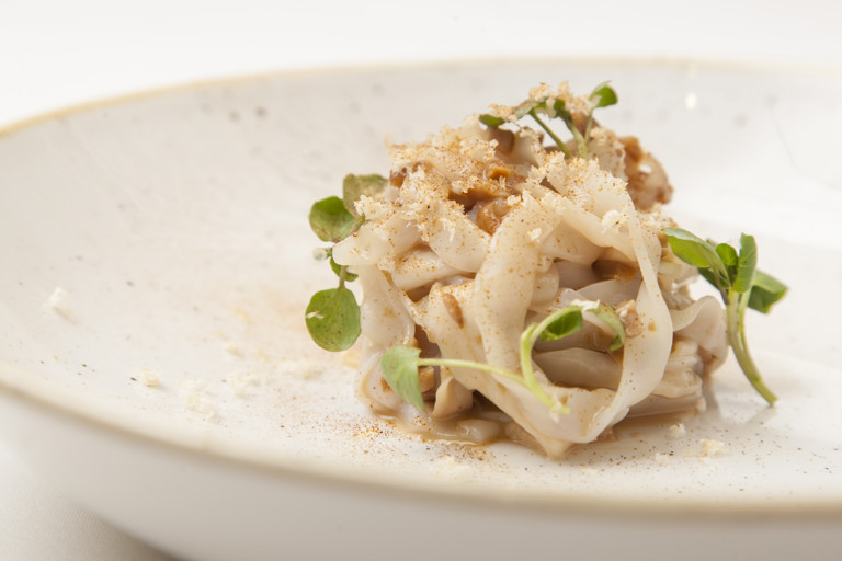 Squid tagliatelle, cep ragu, wild horseradish
