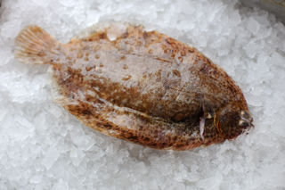 How to cook lemon sole sous vide