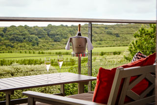 Rathfinny: The New Taste of Britain