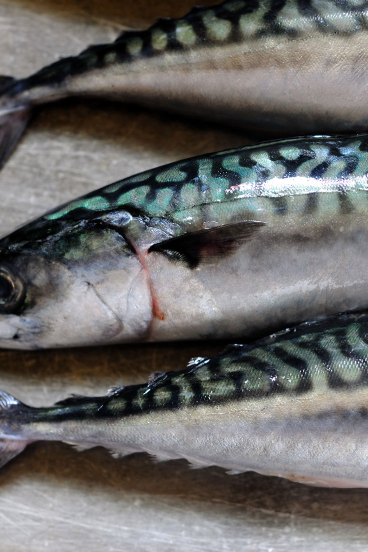 Mackerel Recipes BBQ Mackerel, Pâté, Rillettes Great British Chefs