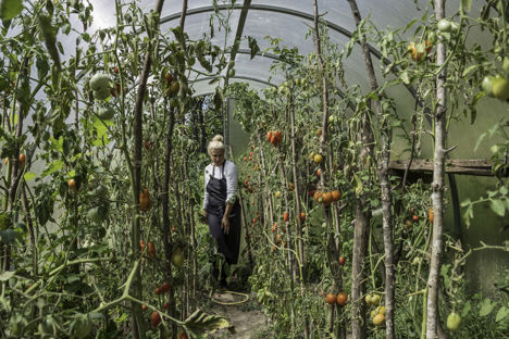 In pictures: Hiša Franko's kitchen garden