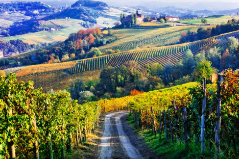 The complete foodie guide to Piedmont