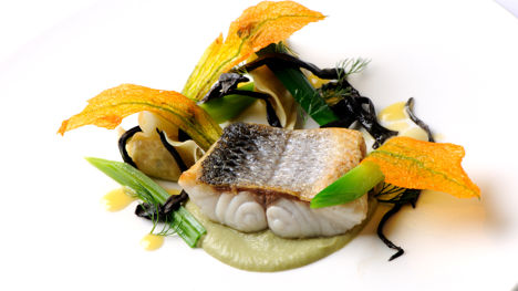 Sea bass with prawn tortellini, fennel purée and white wine sauce