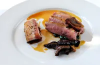 Honey-roasted breast of duck with smoked belly of pork, caramelised endive and ceps