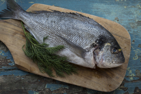 How to Fillet a Round Fish - Great Italian Chefs